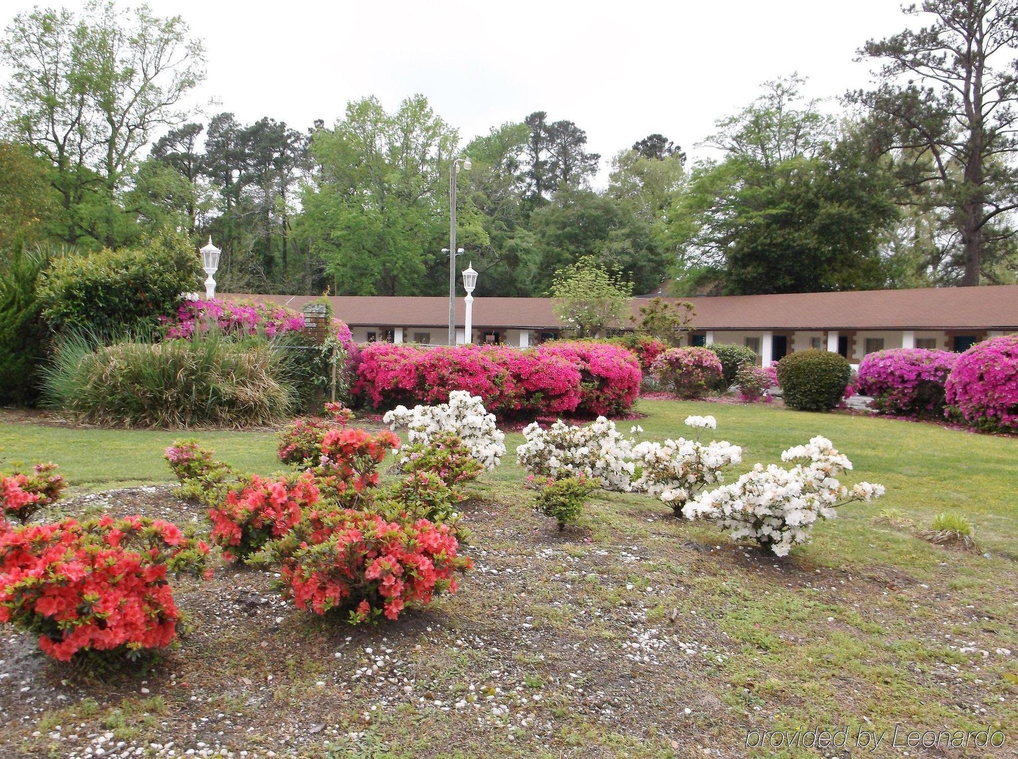 Azalea Inn&Suites Wilmington Exterior foto